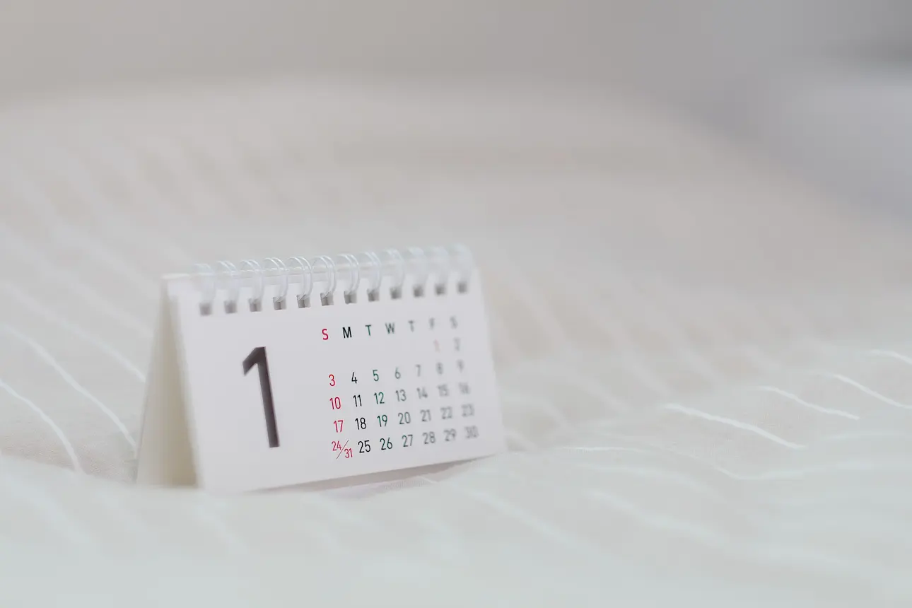 Calendrier activité guêpes frelons par saison