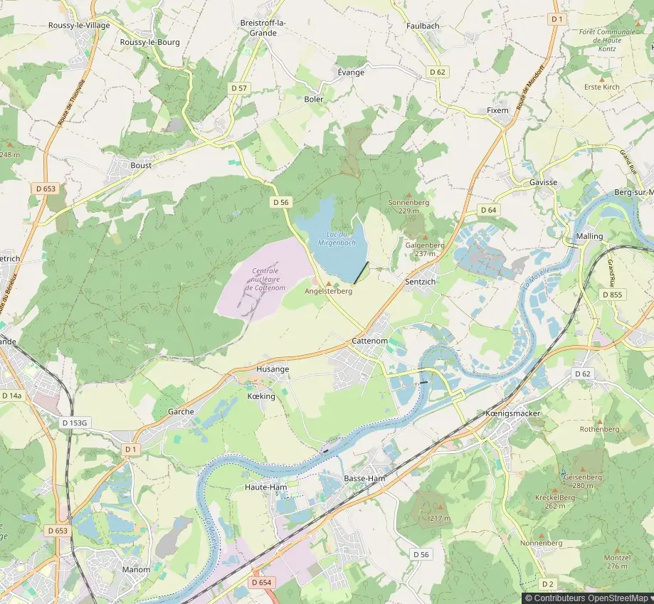 Carte Cattenom quartiers intervention nids guêpes et frelons Cattenom centre, Les Réaux, Koenigsmacker