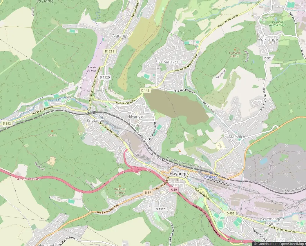 Carte Hayange quartiers intervention nids guêpes et frelons Hayange centre, Marspich, Saint-Nicolas-en-Forêt
