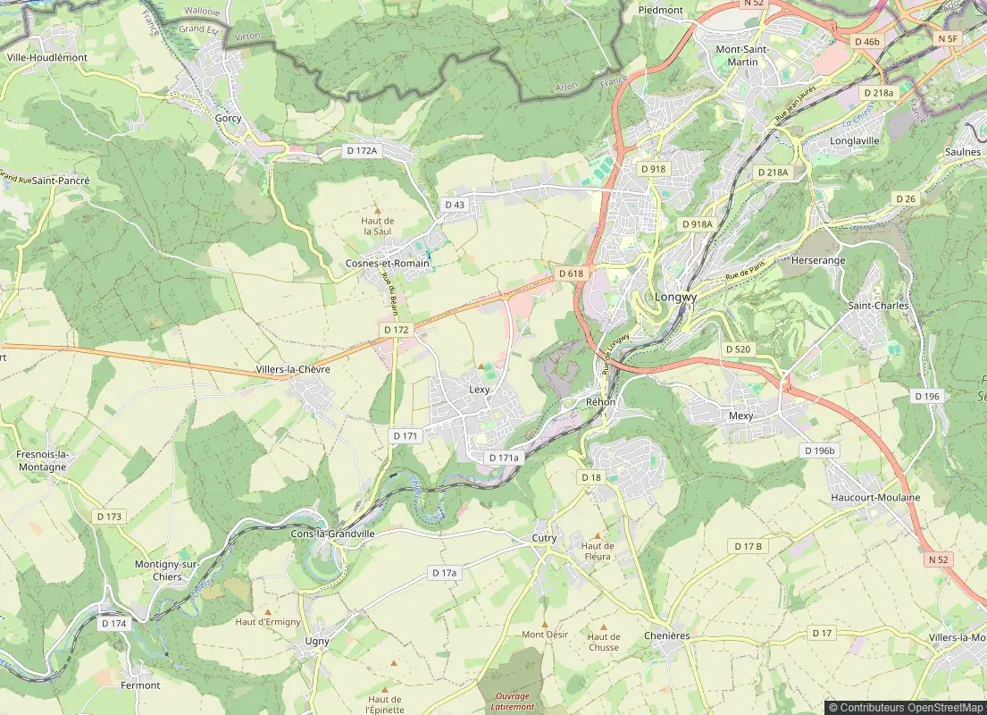 Carte Longwy quartiers intervention nids guêpes et frelons Longwy-Haut, Longwy-Bas, Hérserange